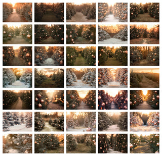 35 Christmas Tree Farm Digital Backdrop Bundle, Winter Portrait Creative Photography Composite Background, Photoshop Template, Xmas Lights