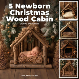 newborn baby in a rustic christmas winter wonderland scene, festive backdrop for holiday photography