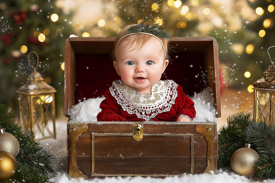 christmas newborn scene, vintage holiday backdrop, festive photo background, holiday portrait prop, digital christmas scene