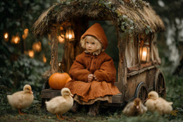 duck on a fall farm backdrop, suitable for kids and family photography, autumn scene with pumpkins and trees