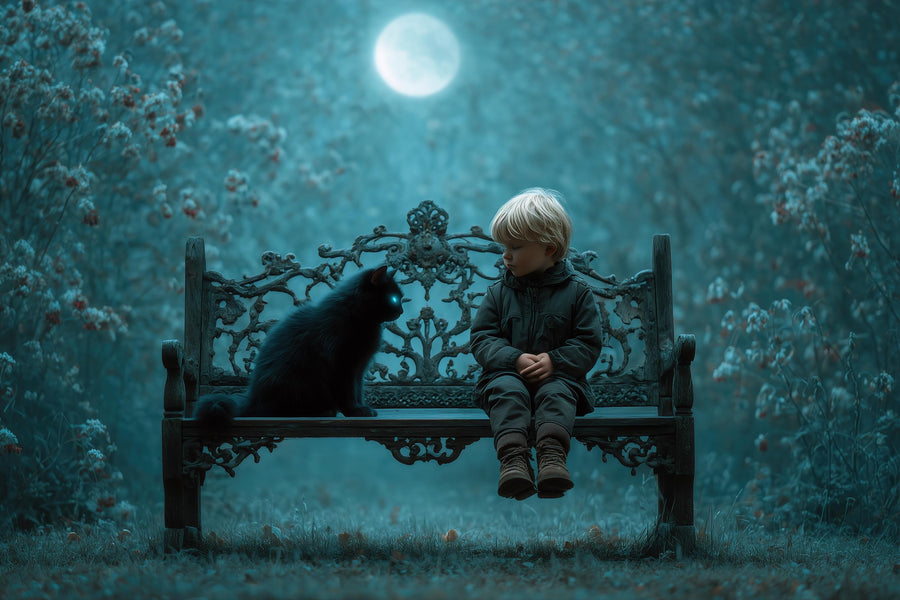 moonlit bench with a black cat in a haunted forest, perfect halloween backdrop for digital photography