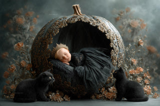 baby girl with pumpkin and black cat in halloween scene, face swap, digital backdrop for newborn photography