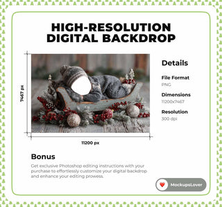Newborn Digital Backdrop, Christmas Face Swap Overlay, Santa Sleigh, Studio Photo Background, Holiday Baby Prop, Photoshop & Canva Template