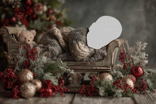 Christmas Newborn Face Swap Overlay, Digital Holiday Backdrop, Santa Sleigh Photo Background, Baby Portrait Prop, Photoshop & Canva Template