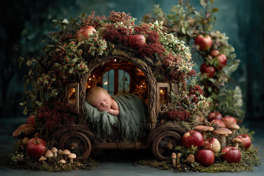 newborn baby in front of rustic apple orchard backdrop, perfect for fall photography sessions
