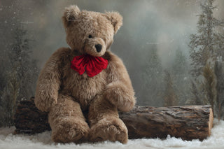 Winter Fantasy Forest Digital Backdrop, Teddy Bear Background, Christmas Photo, Woodland Creatures, Holiday Kids Prop, Photoshop Template