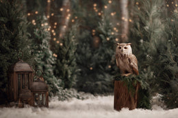 Winter Wonderland Digital Backdrop, Fantasy Forest Photo Background, Woodland Creatures, Wise Owl, Holiday Kids Prop, Photoshop Template