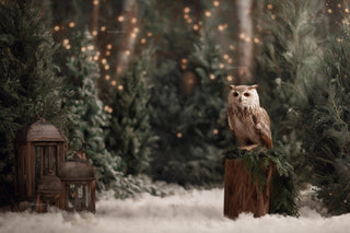 Winter Wonderland Digital Backdrop, Fantasy Forest Photo Background, Woodland Creatures, Wise Owl, Holiday Kids Prop, Photoshop Template