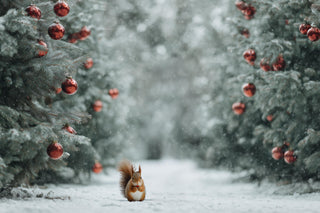 Winter Woodland Animals Digital Backdrop, Christmas Tree Forest Photo Background, Squirrels, Holiday Kids Prop, Photoshop & Canva Template