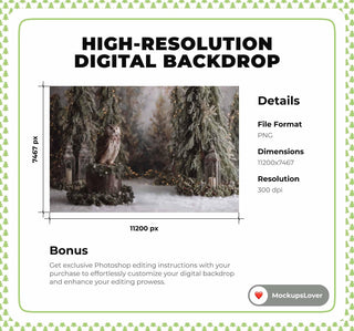 Winter Wonderland Digital Backdrop, Woodland Creatures Photo Background, Fantasy Forest, Owl, Holiday Kids Prop, Photoshop & Canva Template