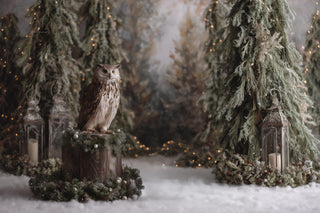 Winter Wonderland Digital Backdrop, Woodland Creatures Photo Background, Fantasy Forest, Owl, Holiday Kids Prop, Photoshop & Canva Template