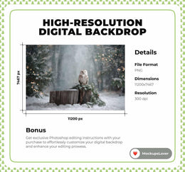 Fantasy Forest Digital Backdrop, Winter Wonderland Photo Background, Woodland Creatures, Owl, Christmas Portrait Prop, Photoshop Template