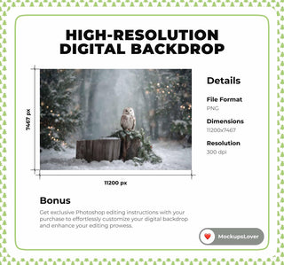 Fantasy Forest Digital Backdrop, Winter Wonderland Photo Background, Woodland Creatures, Owl, Christmas Portrait Prop, Photoshop Template
