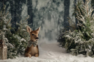 Winter Wonderland Digital Backdrop, Christmas Studio Background, Woodland Animals, Reindeer, Holiday Baby Prop, Photoshop & Canva Template