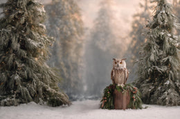 Christmas Woodland Creatures Digital Backdrop, Winter Wonderland Photo Background, Holiday Portrait Prop, Fantasy Forest, Photoshop Template