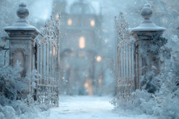 Winter Palace Gate Digital Backdrop, Christmas Princess Photography Background, Holiday Kids Photo Prop, Photoshop & Canva Template