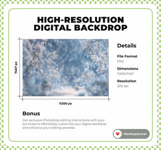 Winter Digital Backdrop, Wildflower Field Photo Background, Christmas Frozen Princess, Holiday Portrait Prop, Photoshop & Canva Template
