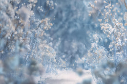 Winter Digital Backdrop, Wildflower Field Photo Background, Christmas Frozen Princess, Holiday Portrait Prop, Photoshop & Canva Template