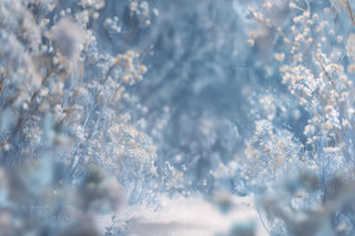 Winter Digital Backdrop, Wildflower Field Photo Background, Christmas Frozen Princess, Holiday Portrait Prop, Photoshop & Canva Template