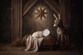 Christmas Nativity Stable Newborn Digital Backdrop, Face Swap Overlay, Farmhouse Background, Holiday Baby Prop, Photoshop & Canva Template