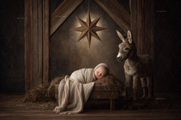 nativity stable scene with baby, holiday background, digital backdrop for photos