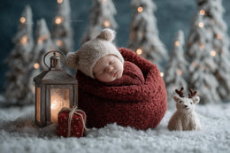 newborn baby in christmas themed winter wonderland background with woodland portrait prop overlay