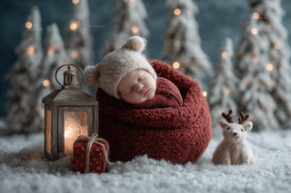 newborn baby in christmas themed winter wonderland background with woodland portrait prop overlay