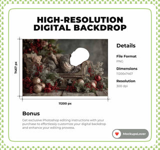 Christmas Newborn Face Swap Overlay, Digital Holiday Backdrop, Santa Sleigh Photo Background, Baby Portrait Prop, Photoshop & Canva Template