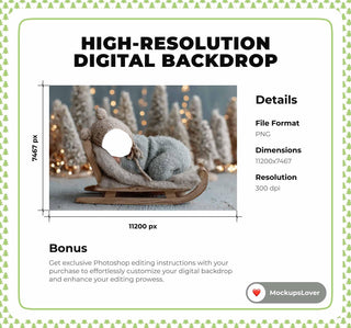Christmas Newborn Digital Backdrop, Winter Wonderland Background, Santa Sleigh, Face Swap Overlay, Baby Portrait Prop, Photoshop Template