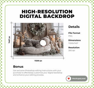 Christmas Newborn Digital Backdrop, Face Swap Overlay, Rustic Studio Photo Background, Holiday Baby Prop, Photoshop & Canva Template