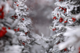Winter Digital Backdrop, Snowy Forest Background, Christmas Tree Photo, Holiday Kids Portrait Prop, Photoshop & Canva Template