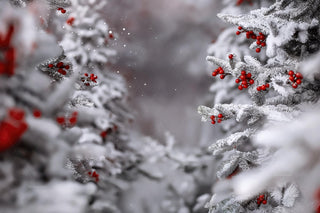 Winter Digital Backdrop, Snowy Forest Background, Christmas Tree Photo, Holiday Kids Portrait Prop, Photoshop & Canva Template