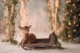 Christmas Digital Backdrop, Santa Sleigh, Reindeer, Fantasy Forest Background, Winter Wonderland, Holiday Prop, Photoshop & Canva Template