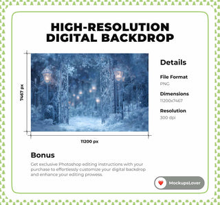 Frozen Christmas Princess Digital Backdrop, Winter Wonderland Photo Background, Castle Gate, Holiday Kids Prop, Photoshop & Canva Template