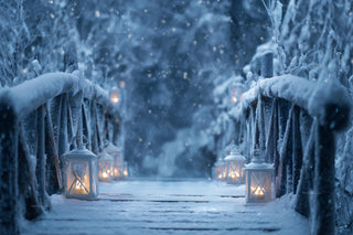 Winter Bridge Digital Backdrop, Fantasy Forest Photo Background, Frozen Princess, Christmas Holiday Kids Prop, Photoshop & Canva Template