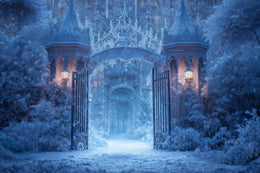 Frozen Princess Digital Arch Backdrop, Winter Wonderland Photo Background, Ice Castle, Holiday Kids Prop, Photoshop & Canva Template