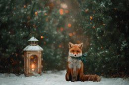 Christmas Woodland Animals Digital Backdrop, Red Fox, Forest Background, Winter Wonderland, Holiday Kids Prop, Photoshop & Canva Template
