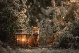 Winter Forest Digital Backdrop, Woodland Creatures Photo Background, Red Fox, Christmas Holiday Kids Prop, Photoshop & Canva Template