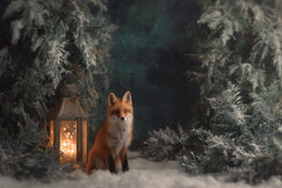 Winter Fantasy Forest Digital Backdrop, Woodland Animals Photo Background, Red Fox, Lantern, Christmas Kids Prop, Photoshop & Canva Template