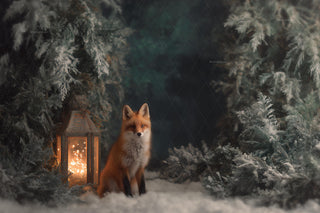 Winter Fantasy Forest Digital Backdrop, Woodland Animals Photo Background, Red Fox, Lantern, Christmas Kids Prop, Photoshop & Canva Template