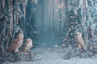 Winter Wonderland Digital Backdrop, Woodland Creatures Photo Background, Fantasy Forest, Owls, Studio Holiday Kids Prop, Photoshop Template