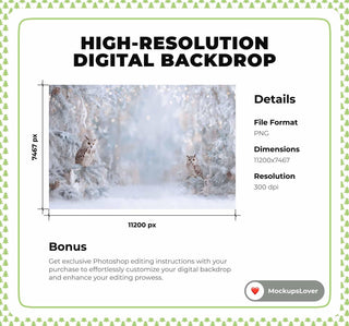 White Studio Christmas Digital Backdrop, Winter Wonderland Background, Owls, Woodland Baby Holiday Kids Prop, Photoshop & Canva Template