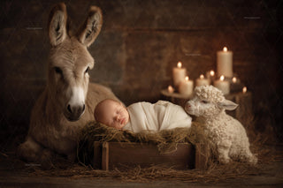 cute newborn baby with christmas animals in a festive scene, ideal for holiday photo backgrounds