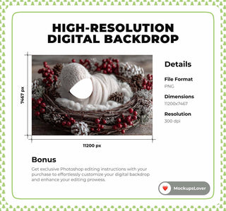 Newborn Digital Backdrop, Christmas Face Swap Overlay, Winter Wonderland Background, Holiday Baby Portrait Prop, Photoshop & Canva Template
