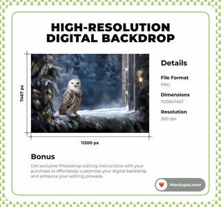 Winter Wonderland Digital Backdrop, Woodland Creatures Photo Background, Wise Owl, Christmas Window, Holiday Kids Prop, Photoshop Template