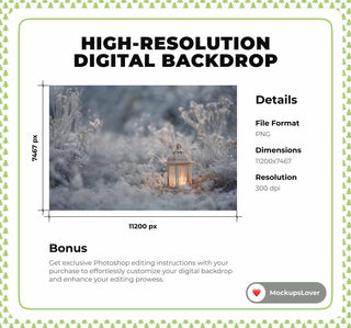 Winter Wildflower Field Digital Backdrop, Christmas Photo Background, Lantern, Holiday Kids Prop, Photoshop & Canva Template, Photo Editing