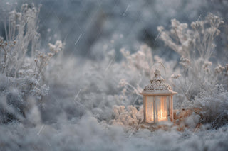 Winter Wildflower Field Digital Backdrop, Christmas Photo Background, Lantern, Holiday Kids Prop, Photoshop & Canva Template, Photo Editing