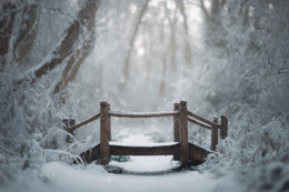 Winter Snowy Forest Bridge Digital Backdrop, Nature Photography Background, Holiday Kids Prop, Photoshop & Canva Template, Photo Editing
