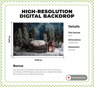 Winter Wonderland Newborn Digital Backdrop, Christmas Baby Photo Background, Forest Holiday Prop, Photoshop & Canva Template, Photo Editing