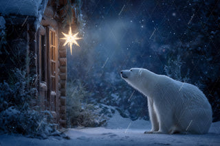 Christmas Digital Backdrop, Polar Bear, North Pole, Winter Wonderland Photo Background, Holiday Kids Prop, Photoshop & Canva Template